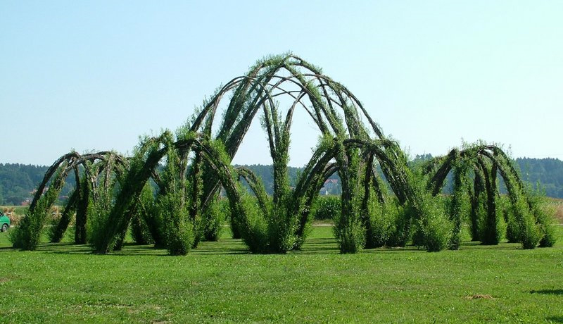 Fun & Info @ Keralites.net