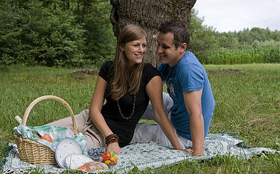 gemütliches Picknick in Bad Blumau