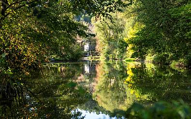 Die Safen im Thermenpark