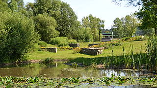 Thermenpark mit Weidenbau